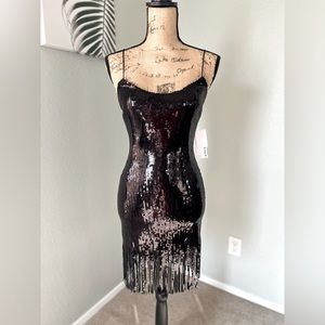 Sequin Fringe Dress